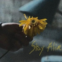 Banditø's Camp 🌻 Discord server icon