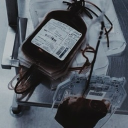 Ward 13 Discord server icon