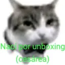 Servidor de um tal de jOaoO