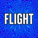 Flight