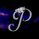 Petalverse Discord server icon