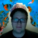 🪽 THE cat heaven. Discord server icon