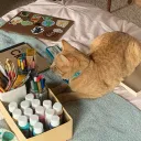 YARN BALL STUDIOS