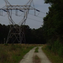 into the woods ! Discord server icon