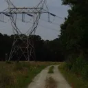 into the woods !