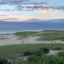 Monterelle Beach,  MA | Multi-Family Text RP Discord server icon