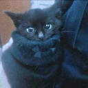 ✧𝑪𝑶𝒁𝒀 𝑪𝑶𝑹𝑵𝑬𝑹✧ Discord server icon