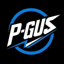 P-GUS SEARCHER