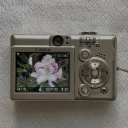 dainty days ⋆. 𐙚 ˚ Discord server icon