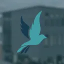 Dorset Academy