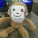 Monkey FC (VSA)