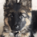 °ʚgᥣ᥆ᑲᥲᥣ іᥒ𝗍ᥱrᥱs𝗍s𖦹°‧★ Discord server icon