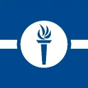 Pro democracy network blue dragonfire