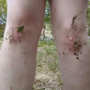 rot Discord server icon