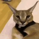 😼┇El Rincón De Los Randoms┇😼