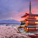 Le Fuji