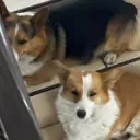Hectorcitos