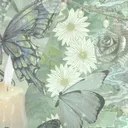 Mimi’s Garden