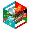 Central Asian Community avatar
