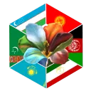 Central Asian Community Discord Server Icon