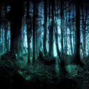 ⊹₊The Haunting of Well-Wood₊⊹