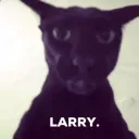Larry's Buckle