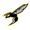 Hornets Nest