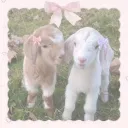 ʚ   ⁺   🩷♡  /wivan   ▪  art shop