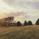 ⤷ ゛Elysium fields ୭ ˚. ᵎᵎ Discord server icon