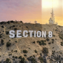 🌴SECTION 8🌴 icon