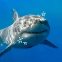 𝓣𝓱𝓮 𝓑𝓪𝓵𝓽𝓲𝓬 𝓢𝓮𝓪. ݁₊... Discord Server Icon