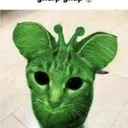 Gnorp Gnap Land