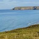 DemonAngel99 Discord server icon