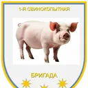 Сервер первой свинокопытной