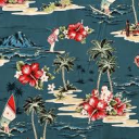 Hawaiian Shirt Courtship Zone