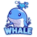 오픈전 :: WHALE25