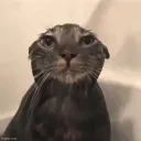 🐇鯖「らびきっずサーバー」