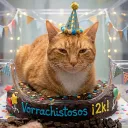 Vorrachistosos ¡2k!
