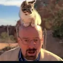 Breaking Bad: Retold