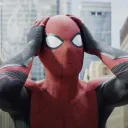 US Spider-Verse Holland Hub PL