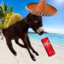Mexican Donkeys [DONK]