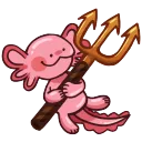 the imp collection