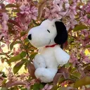 🫐  ⋮⋮  𓂃 Snoopy Hangout  ׄ   social   ׄ   giveaways