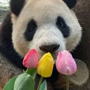 An Orchestra Of Muffins (Christian Community)