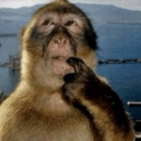 nerd hub Discord server icon