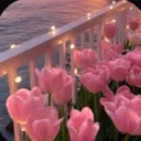 Paradise Discord server icon