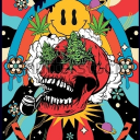Cannabis & psychedelic Community