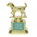 The Doggie Challenge