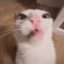 broslutting Discord Server