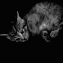 @enumi | social • active • ...